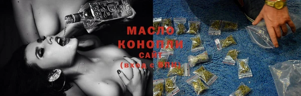 шишки Аркадак