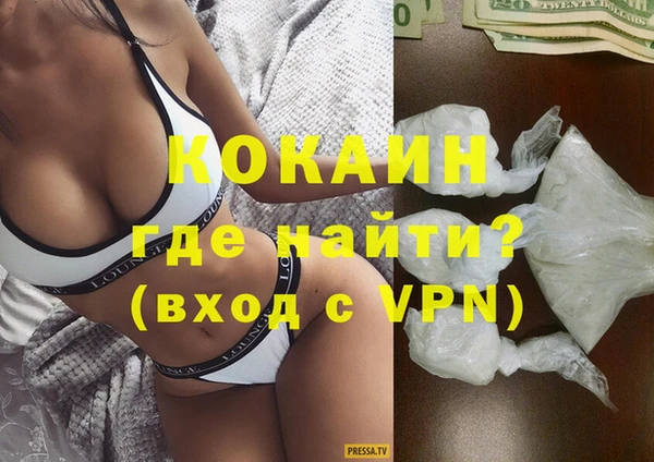 шишки Аркадак
