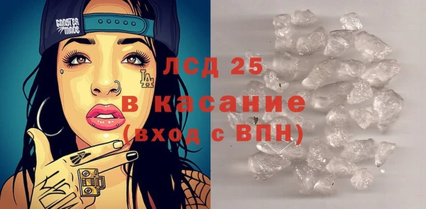 шишки Аркадак