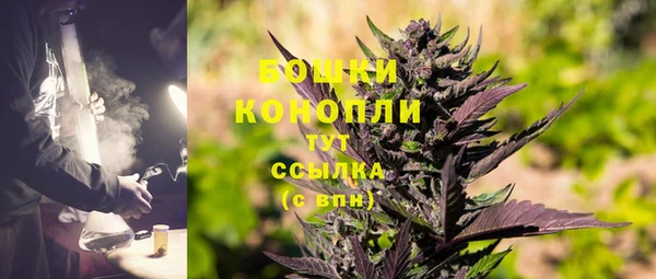 шишки Аркадак