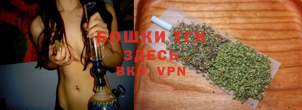 шишки Аркадак