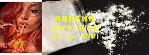шишки Аркадак